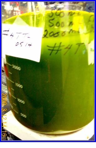 Hard chrome raw waste water at start of treatment