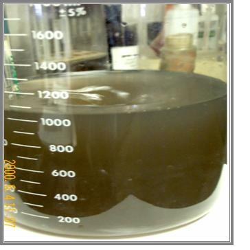 ORL radiator repair shop raw waste water sample