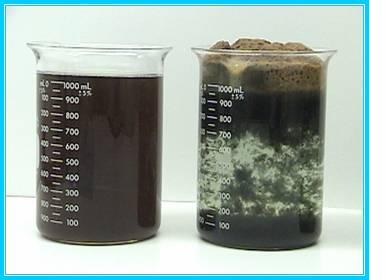 E-Cell treated SAGD water