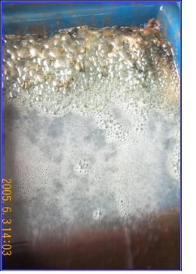 Powell Water E-Cell chamber with overflow treated water and forming floc