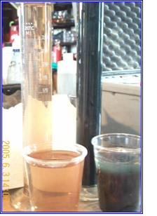 Comparison of E-Cell treated pond water at two power settings