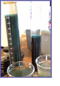 Settled treated pond water sample