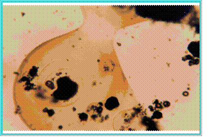 Microscopy view at 100x magnification of silica micro-encapsulation of precipitated copper species.